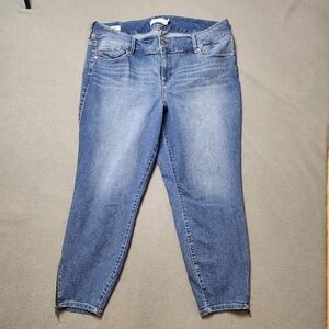 TORRID | Jegging Size 24